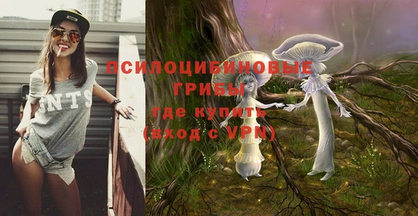 гидра Армянск