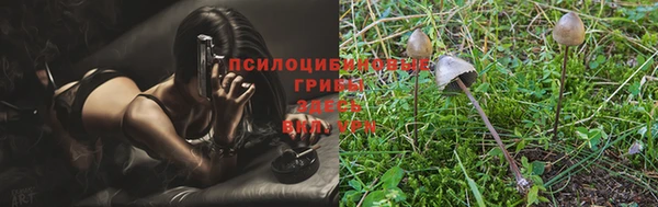 ALPHA-PVP Арсеньев