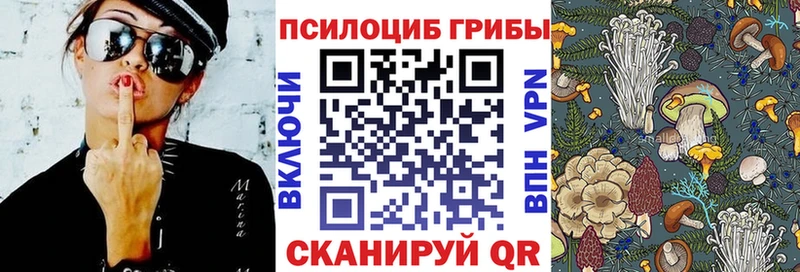Псилоцибиновые грибы Magic Shrooms  Суздаль 
